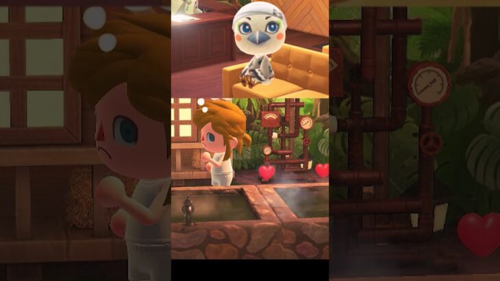 【あつ森】vlogリンク病院から帰宅後 #あつ森 #animalcrossing #animalcrossingnewhorizons