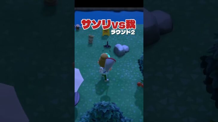 【あつ森ｼｮｰﾄ】サソリvs我 Round2、ファイッ！