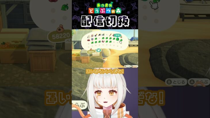 【あつ森】海岸の島クリ🌊難しいね～ #個人vtuber #配信切り抜き #切り抜き動画 #あつまれどうぶつの森