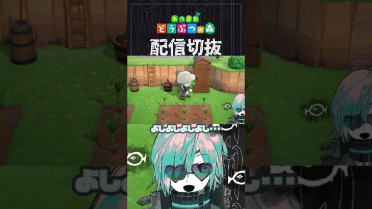 【あつ森】こだわった温泉の道ってなにがなんだかわからなくないですか？　 #個人vtuber  #配信切り抜き #切り抜き動画 #あつまれどうぶつの森