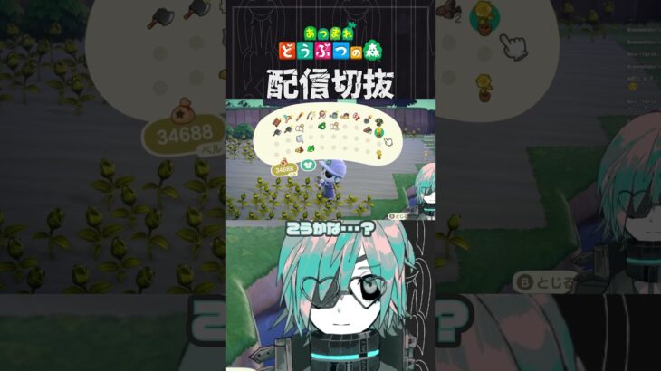 【あつ森】金バラ畑作るのに黒バラまぜたらオシャじゃないですか？　 #個人vtuber  #配信切り抜き #切り抜き動画 #あつまれどうぶつの森