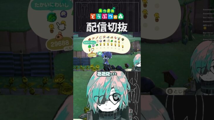 【あつ森】砂に金バラ植えるのかなりオシャレじゃないですか？？？　 #個人vtuber  #配信切り抜き #切り抜き動画 #あつまれどうぶつの森