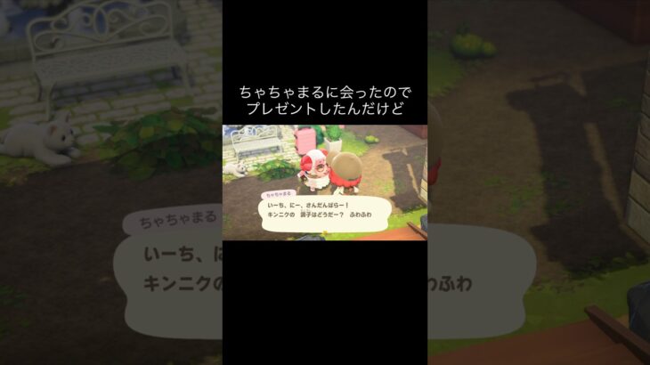 あれ？w #あつ森 #あつまれどうぶつの森 #あつ森好きな人と繋がりたい #animalcrossing #ゆめみ #おかめなっ島 #acnh #present #shorts #ちゃちゃまる #なぜ