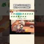 【あつ森】え、知らなかった！そこに片付けられるんだw【あつまれどうぶつの森】#shorts #あつ森