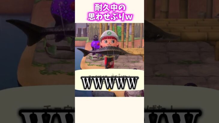 シーラカンス耐久で心が折れる瞬間ww #あつ森