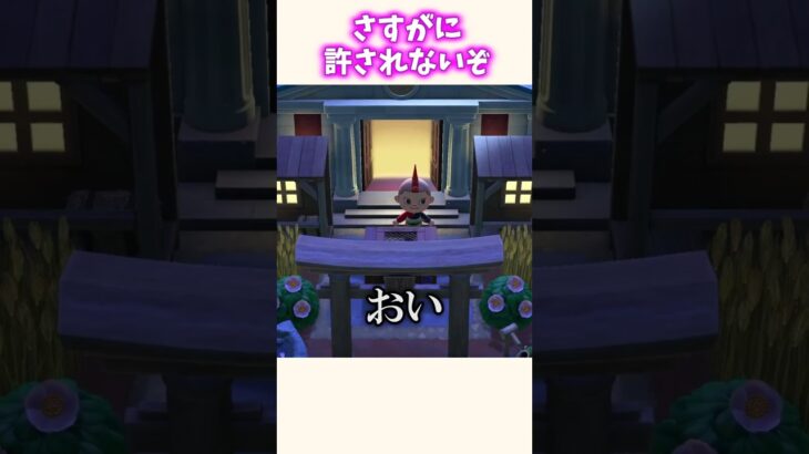 神社で窃盗された瞬間ww #あつ森