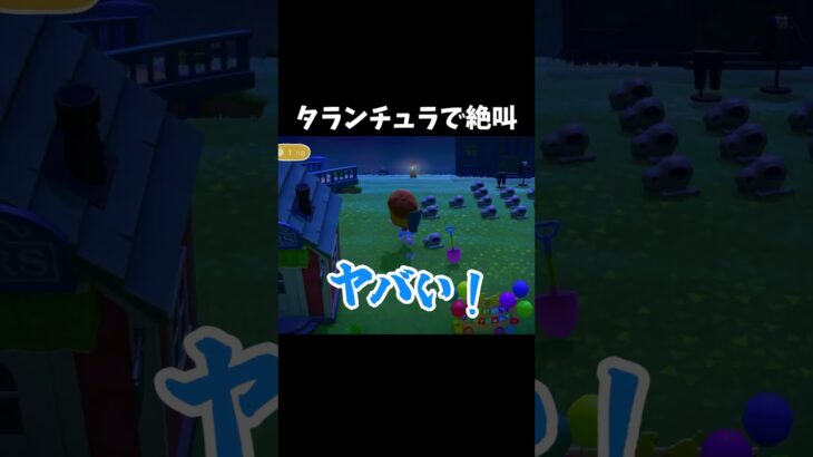 タランチュラに出くわして絶叫してしまうww #あつ森 #shorts