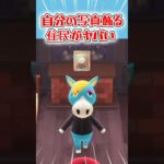 自分の写真を飾る住民がヤバいww【あつ森】  ♯shorts #あつ森 #あつまれどうぶつの森 #AnimalCrossing #キザノホマレ