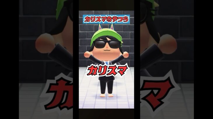 カリスマなやつらwww [あつまれどうぶつの森] #あつ森アプデ #カリスマックス #snowman
