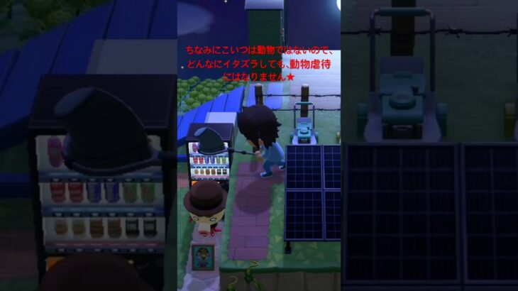 【あつ森】【欲張りセット】タコヤにイタズラしまくってみたwwwwwwww #shorts #あつ森