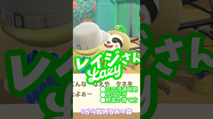 #あつ森レイジ #0から始めるあつ森 #あつ森花 #あつ森低木 #あつ森初心者
