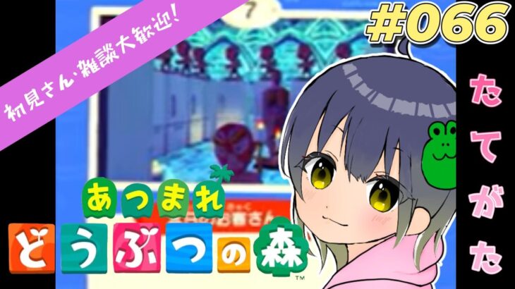 【あつ森】パニーの島広場開放していくぅ!新しい髪形どんなかな～♪初見さん・雑談大歓迎☆ #066
