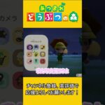 お写真1枚だけいいですか…？【あつ森】 #あつ森 #あつまれどうぶつの森 #ゲーム実況