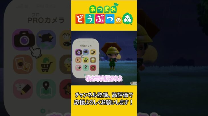お写真1枚だけいいですか…？【あつ森】 #あつ森 #あつまれどうぶつの森 #ゲーム実況
