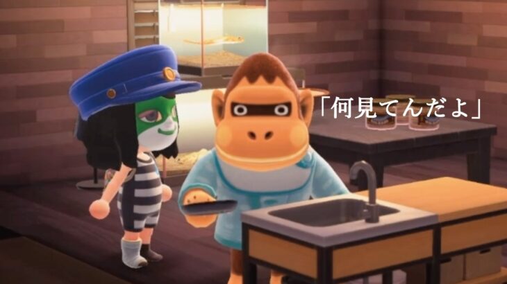 【あつ森1】我がえぐぞでぃあ島で住民にちょっかいかけて旅館の部屋をコーディネイト