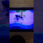 【あつ森】オオゴンカブトムシって出にくいんかな。#1