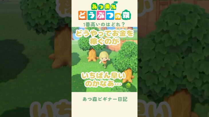 【あつ森】1番高い野菜/果物ってなんなんだろう…？🍒#あつまれどうぶつの森