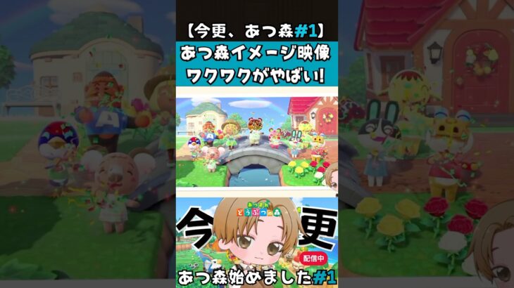 今更、あつ森配信始めました!#1 #あつ森 #あつ森初心者 #ゲーム配信 #animalcrossing #acnh #ゲーム実況者 #shorts #short
