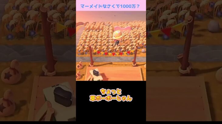 【あつ森】≪マーメイドなさくで1000万？≫　ついにここもベル袋が？