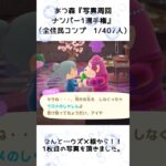 【あつ森企画】写真周回ナンバー1選手権と写真コンプ！離島ガチャ一発確定（1）