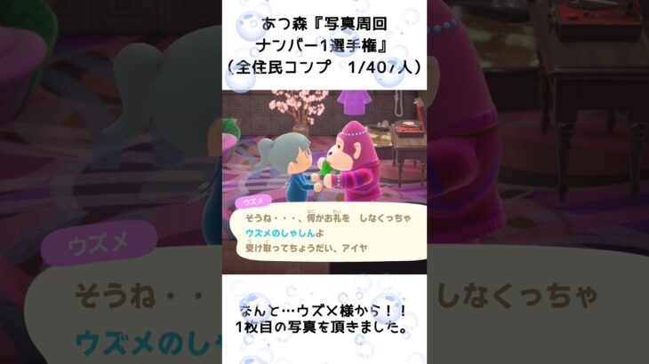 【あつ森企画】写真周回ナンバー1選手権と写真コンプ！離島ガチャ一発確定（1）