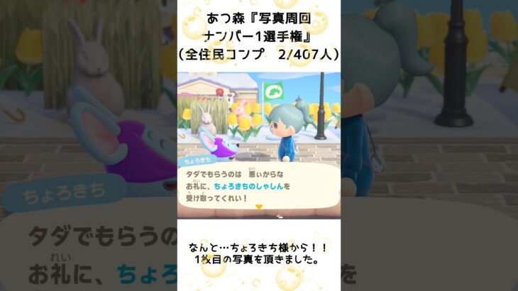 【あつ森企画】写真周回ナンバー1選手権！離島ガチャ一発確定（2）