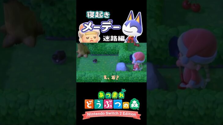 【あつ森】迷路で迷子！寝起きで1発クリアを目指すメーデーツアー2026‼︎