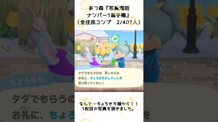 【あつ森企画】写真周回ナンバー1選手権と写真コンプ！離島ガチャ一発確定（2）#shorts