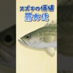 【あつ森】スズキの価値最大化!!!誰でもスズキを使って1300マイル稼げる方法💰💰#あつ森