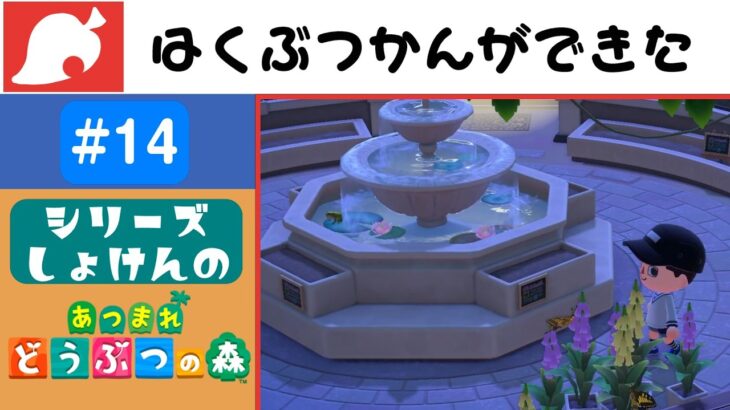 【実況】あつ森の博物館凄いな【あつまれどうぶつの森】#14