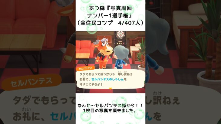 【あつ森企画】写真周回ナンバー1選手権！離島ガチャ一発確定（4）#shorts