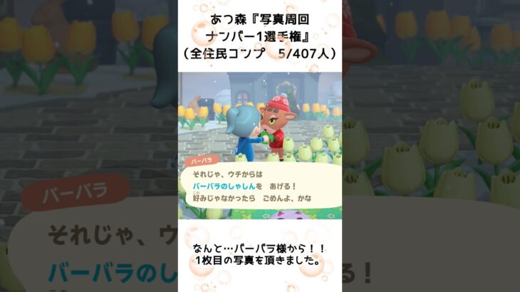 【あつ森企画】写真周回ナンバー1選手権！離島ガチャ一発確定（5）#shorts