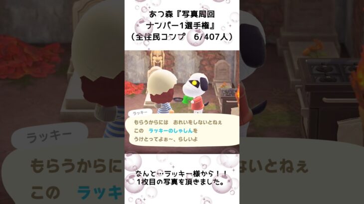 【あつ森企画】写真周回ナンバー1選手権！離島ガチャ一発確定（6）#shorts