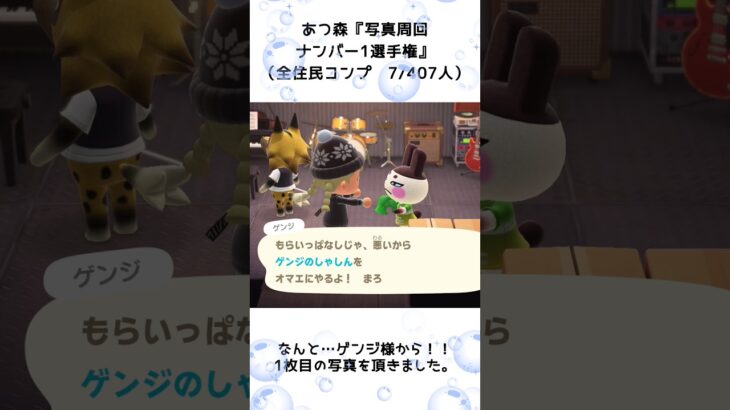 【あつ森企画】写真周回ナンバー1選手権！離島ガチャ一発確定（7）#shorts
