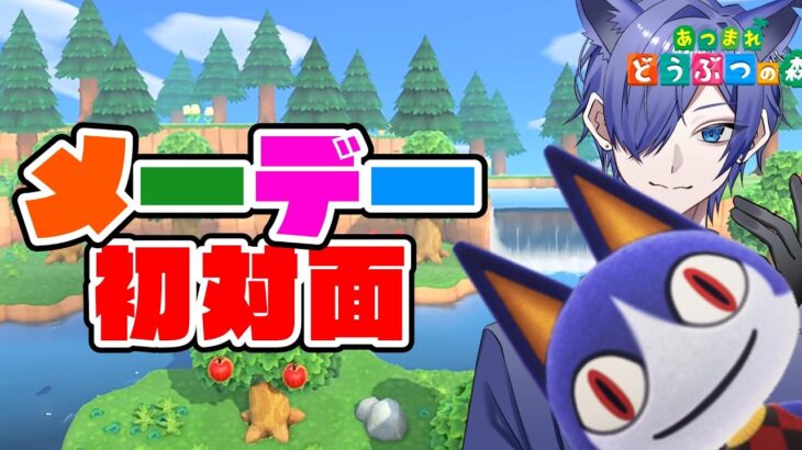 【#あつ森配信 】初見さん歓迎！皆の高評価＆挨拶で買えるカブを決める配信！ #186 #あつ森 #雑談配信