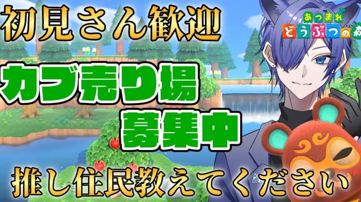 【#あつ森 】初見さん歓迎！カブが売れ残ってるので売りさばきたい配信！ #189 #あつまれどうぶつの森  #雑談配信