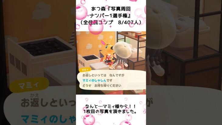 【あつ森企画】写真周回ナンバー1選手権！離島ガチャ一発確定（8）#shorts