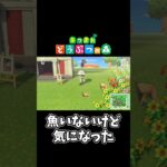 【あつ森】1マスに釣竿入る？#shorts #ゲーム配信 #あつまれどうぶつの森 #あつ森