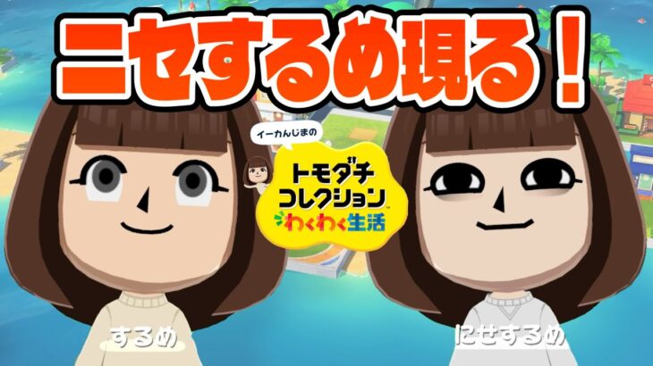 【トモコレ】するめが2人！？あつ森キャラだらけの島に波乱が巻き起こる！【トモダチコレクションわくわく生活 #8 】