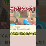 この2人本当にケンカしてる？笑【あつ森】 #Shorts #あつ森