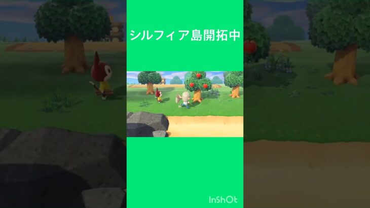 2025/12 サブ島「シルフィア島」開拓記録 その2 #あつ森 #shots