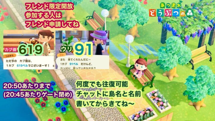 【あつ森】2026,5/10 カブ価619&ウリ91(20:50あたりまで)【フレンド限定開放、参加する人はフレンド申請してね】