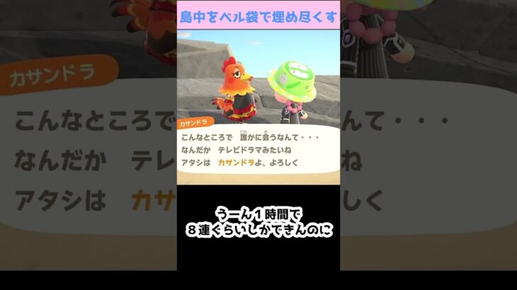 【あつ森】≪24時間離島ガチャ≫　終わっても終われなさそう