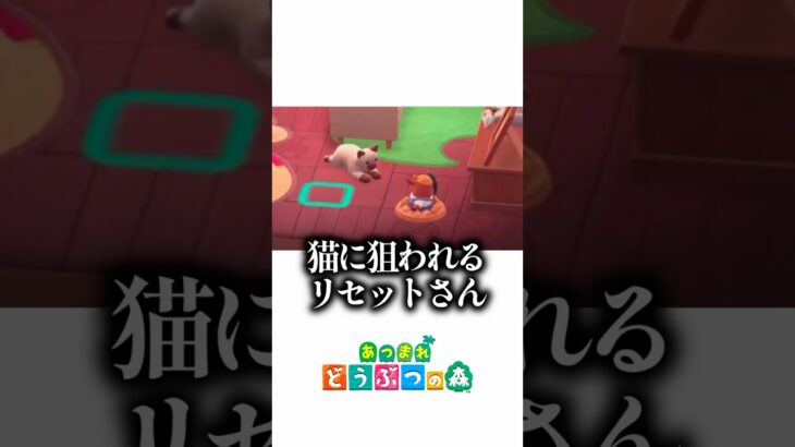 新家具・はっぱのオブジェで部屋クリ【あつ森】【どう森25周年】