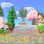 【あつ森】写真交換は3枚まで！野菜収穫＆家具配布