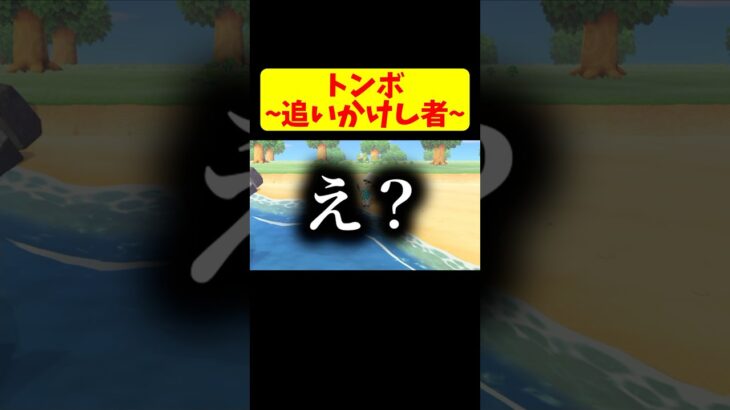 【あつ森】トンボ~追いかけし者~#3【あつまれ どうぶつの森】 #shorts #games