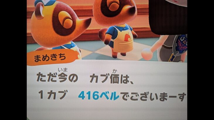 【あつ森】カブ価416！高評価、チャンネル登録で参加/往復OK.