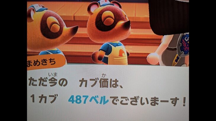 【あつ森】カブ価487！高評価、チャンネル登録で参加/往復OK！