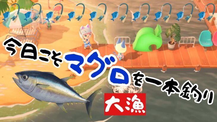 【あつ森】撮れ高バッチリ👍️5月の魚釣り🐟️🎣深夜のスローライフ作業配信！#あつ森 #あつまれどうぶつの森