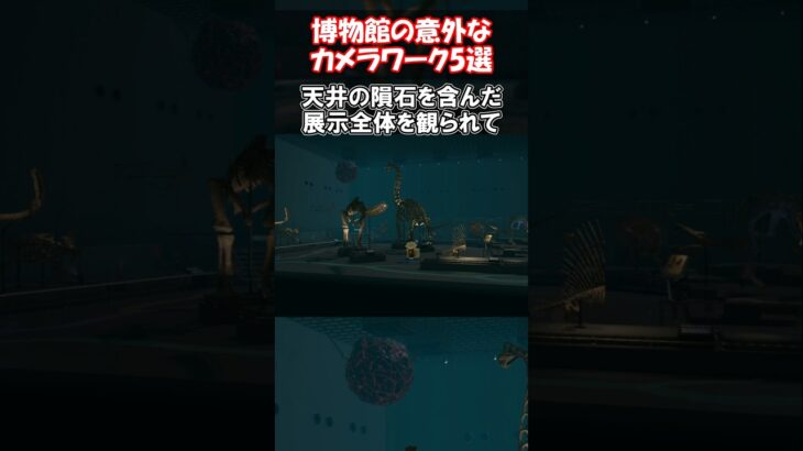 【全部知ってたらすごい】博物館カメラワーク5選 【あつ森】@ほのげ